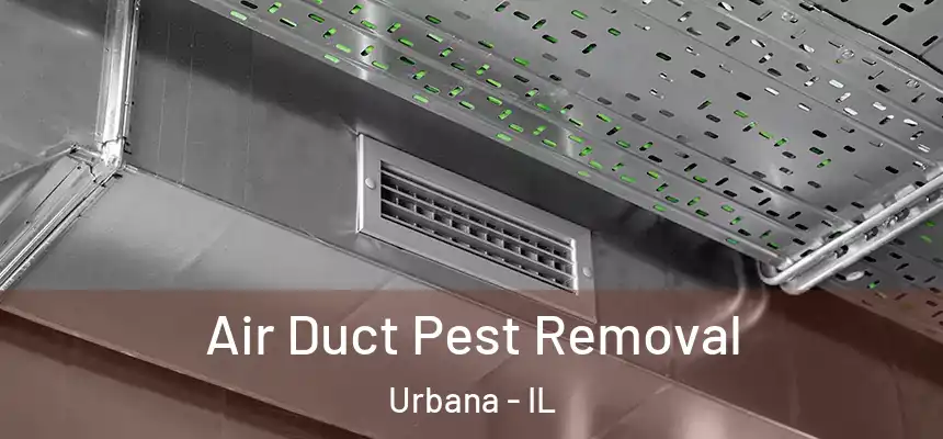  Air Duct Pest Removal Urbana - IL