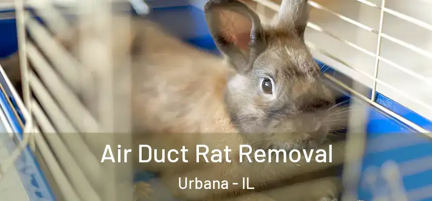  Air Duct Rat Removal Urbana - IL