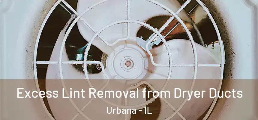  Excess Lint Removal from Dryer Ducts Urbana - IL