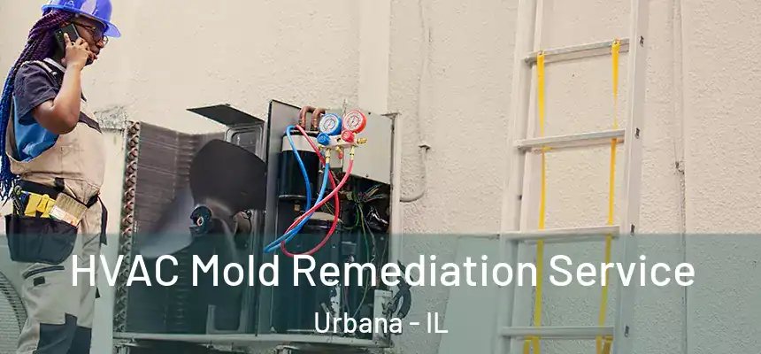  HVAC Mold Remediation Service Urbana - IL
