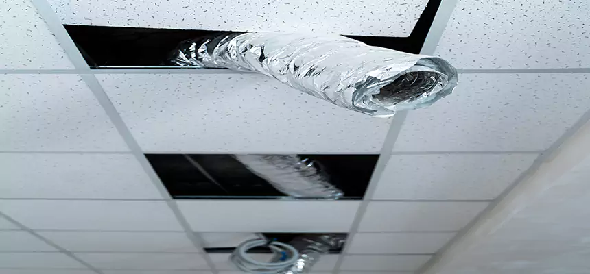 Affordable HVAC Sanitizing After Pest Removal in Urbana