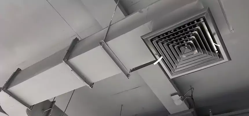 Restorative Allergy Relief Vent Cleaning – Coil, Blower & Housing Detail in Urbana