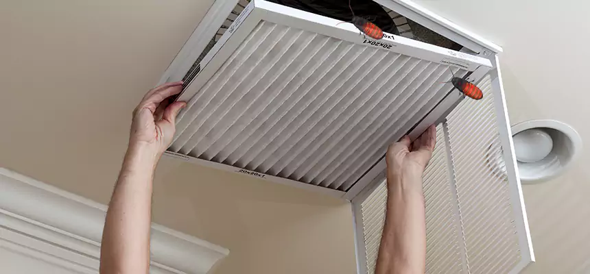 Our Insect Removal from Air Ducts Services in Urbana, IL