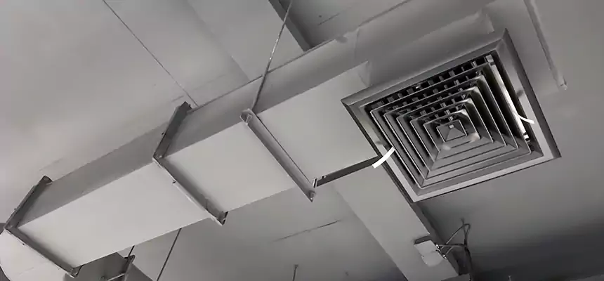 Our Pest Removal From Ducts Services in Urbana, IL