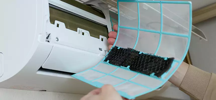 Gentle Ductwork Odor-Control Pet Dander Duct Cleaning in Urbana, IL