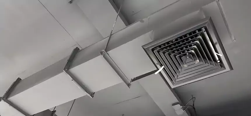 Our Rodent Droppings In Vents Services in Urbana, IL