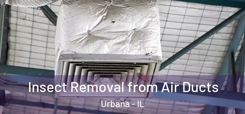  Insect Removal from Air Ducts Urbana - IL