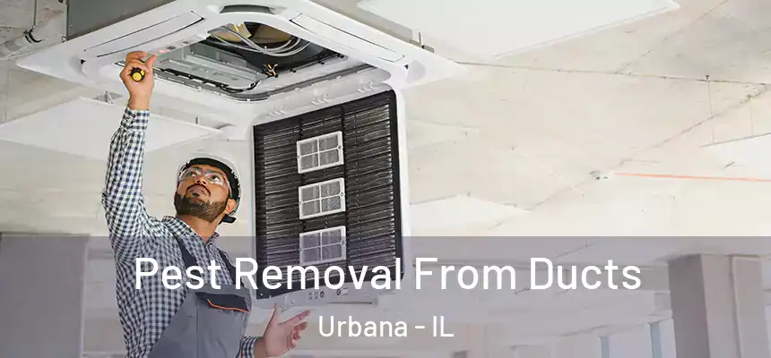  Pest Removal From Ducts Urbana - IL