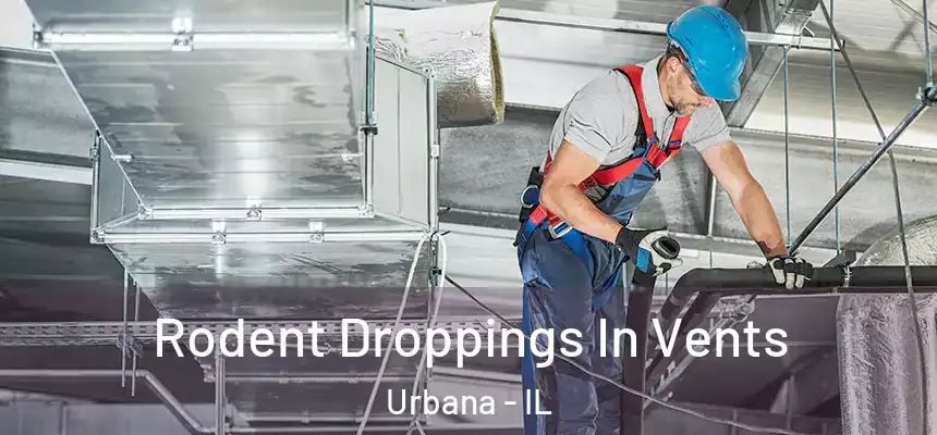  Rodent Droppings In Vents Urbana - IL