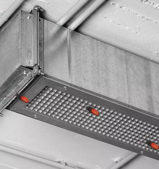 About Air Duct Cockroach Removal in Urbana, IL