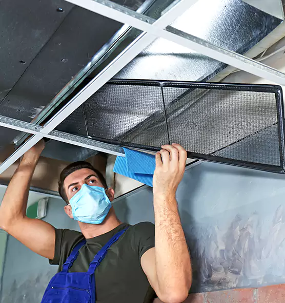 Professional Air Duct Pollen Cleaning in Urbana, IL