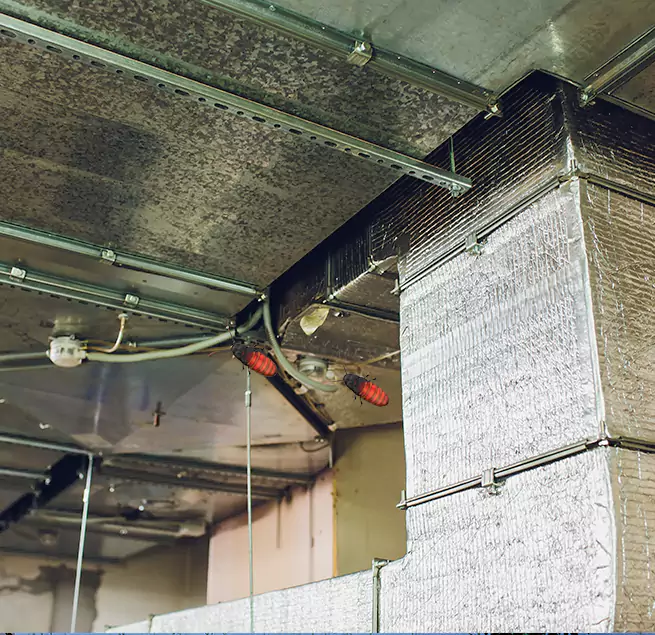 Why Homeowners & Businesses Trust Us in Urbana, IL?