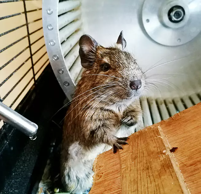 Why Homeowners & Businesses Trust Us Urbana, IL?