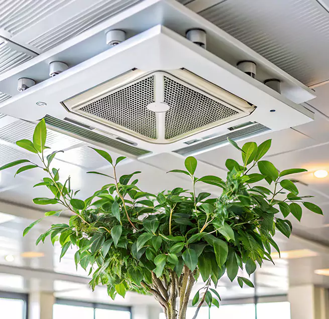 Why Homeowners & Businesses Trust Us in Urbana, IL?