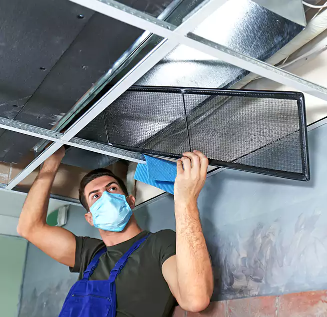 Why Homeowners Businesses Trust Us in Urbana, IL